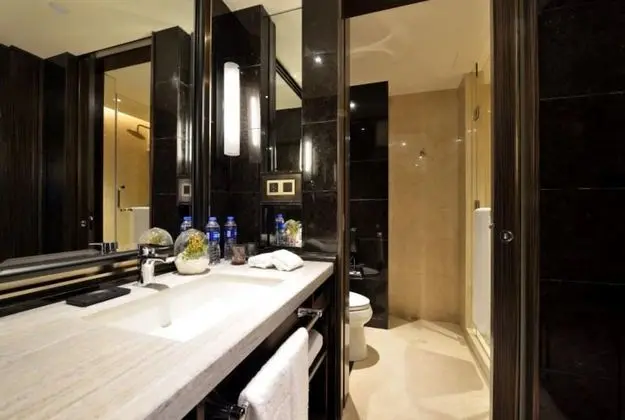 Deluxe İki Ayrı Yataklı Oda, Şehir Manzaralı