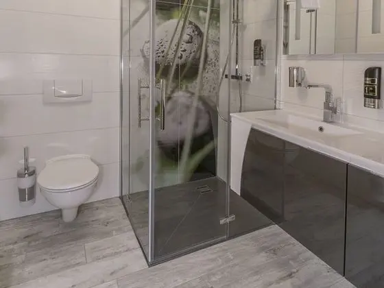 Tek Büyük Yataklı Oda, Banyolu/Duşlu, Göl Manzaralı (mit Balkon)