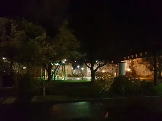 Basic Büyük Yataklı Tek Kişilik Oda, Birden Çok Yatak, Sigara İçilebilir, Park Manzaralı