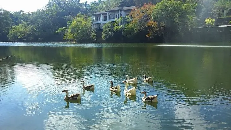 Tek Büyük Yataklı Oda, Göl Manzaralı