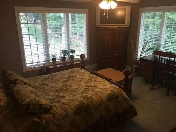 Executive Tek Büyük Yataklı Oda, 1 Büyük (Queen) Boy Yatak, Ortak Banyo, Bahçe Manzaralı