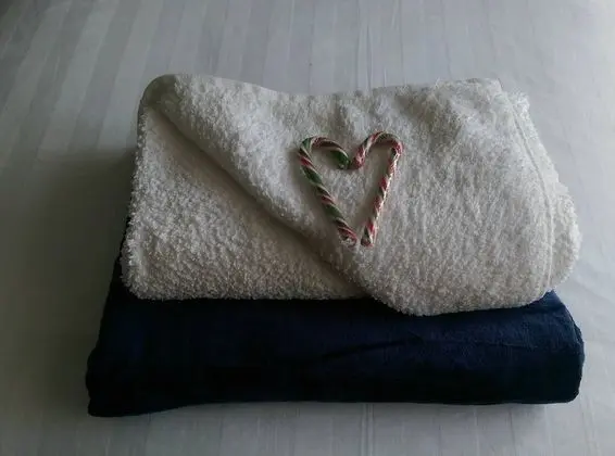 Kır Evi (2 Bedrooms)