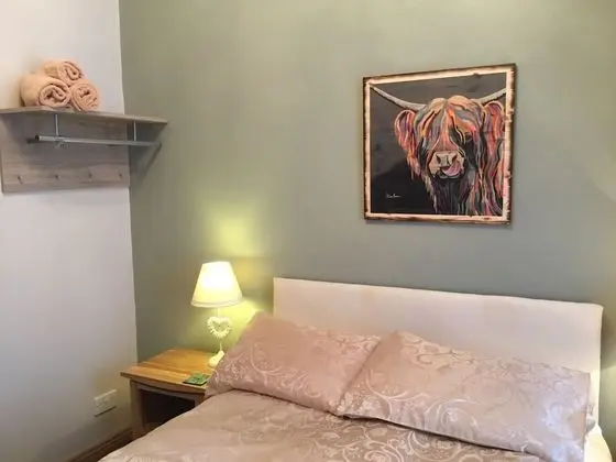 Tek Büyük Yataklı Oda, Banyolu/Duşlu