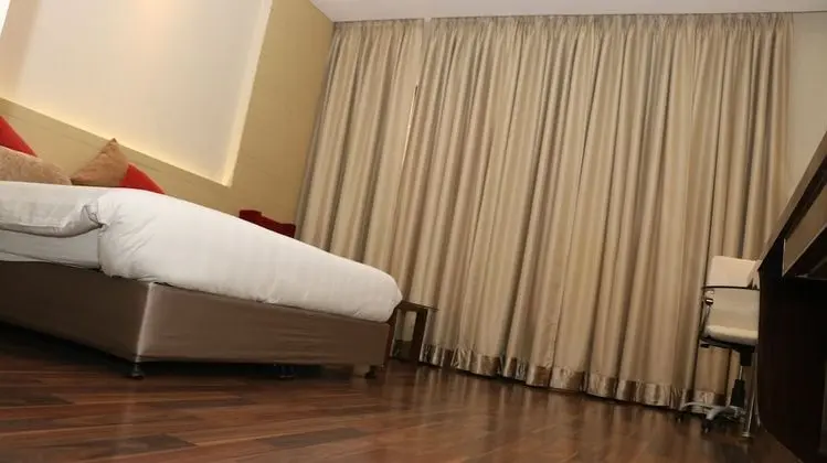Premium Tek Büyük Yataklı Oda, 1 En Büyük (King) Boy Yatak