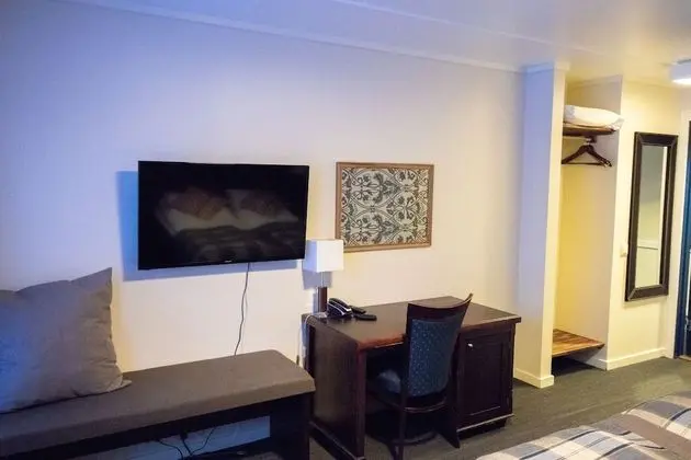 Standard Tek Büyük Yataklı Oda, 1 Çift Kişilik Yatak