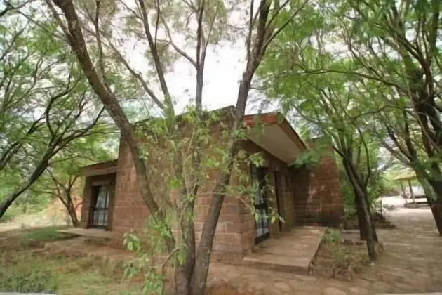 Basic Bungalov, Bahçe Manzaralı