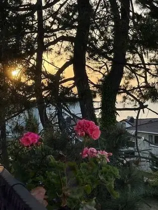 Economy Tek Büyük Yataklı Oda