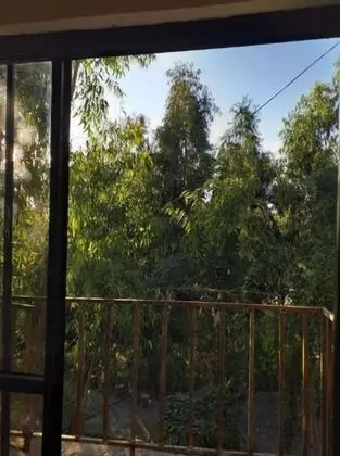 Family Tek Büyük Yataklı Oda