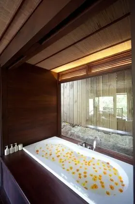 Hill Rock Pool villa