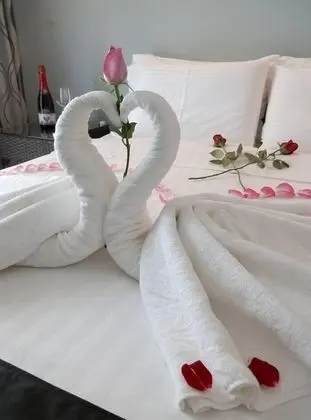 Deluxe Dağ Evi