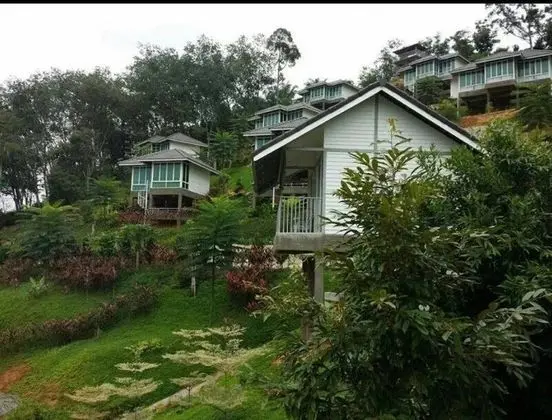 Deluxe Dağ Evi