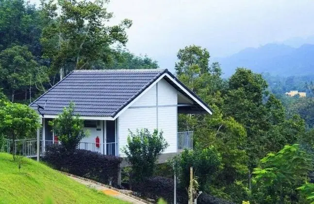 Standard Dağ Evi