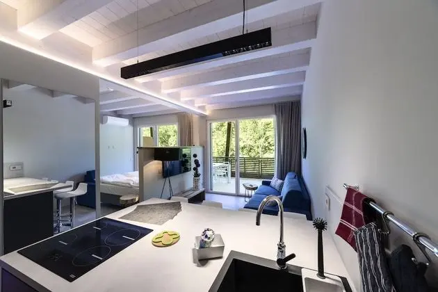 Deluxe Çatı Katı (Loft), 1 Yatak Odası, Balkon, Kısmi Göl Manzaralı