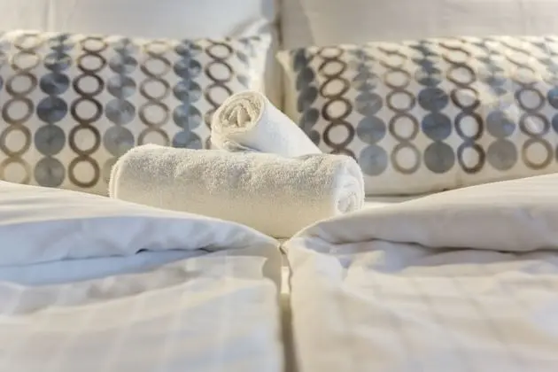 Deluxe Çatı Katı (Loft), 1 Yatak Odası, Balkon, Kısmi Göl Manzaralı
