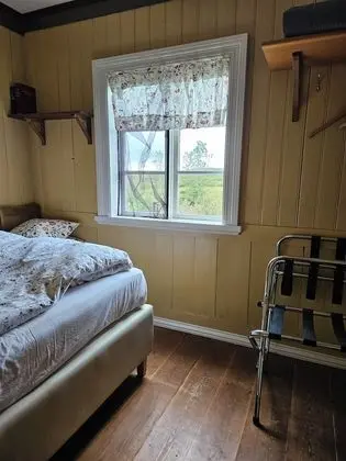 Standard Tek Büyük Yataklı Oda, 1 Çift Kişilik Yatak, Özel Banyo