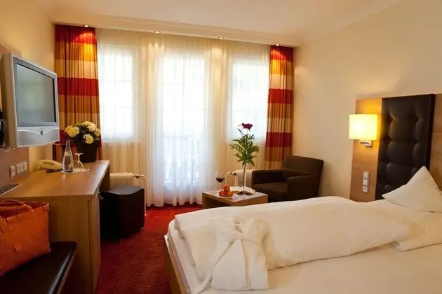 Comfort Tek Kişilik Oda, Balkon (Ellbach)