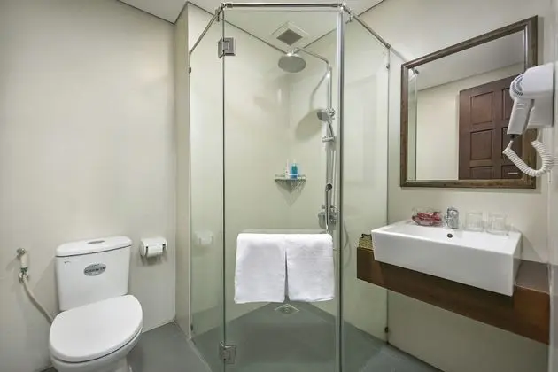 Deluxe Tek Büyük Yataklı Oda, 1 Yatak Odası, Özel Banyo, Şehir Manzaralı