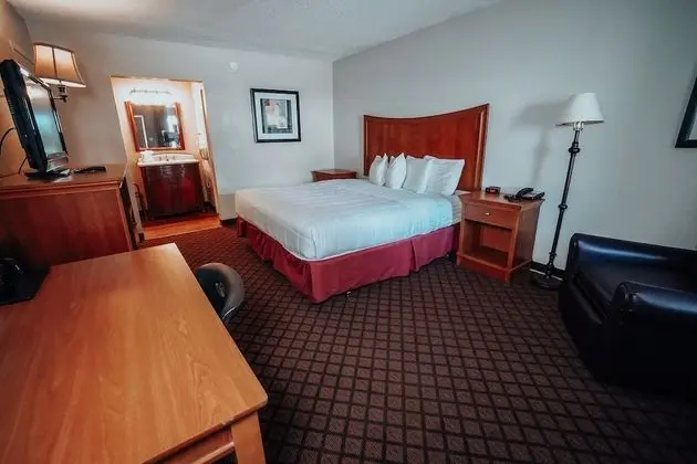 Superior Oda, 1 En Büyük (King) Boy Yatak, Sigara İçilmez, Buzdolabı ve Mikrodalga (Inside room)