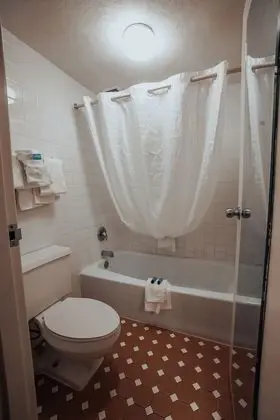 Superior Oda, 1 En Büyük (King) Boy Yatak, Sigara İçilmez, Buzdolabı ve Mikrodalga (Inside room)