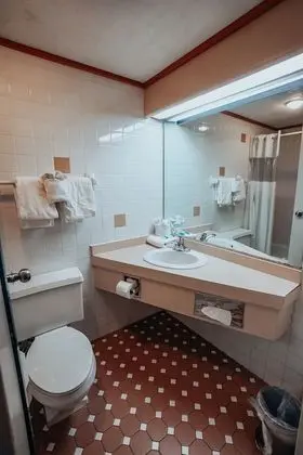 Superior Oda, 1 En Büyük (King) Boy Yatak, Sigara İçilmez, Buzdolabı ve Mikrodalga (Inside room)