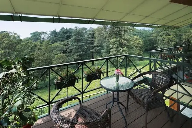 Superior Tek Büyük Yataklı Oda, 1 En Büyük (King) Boy Yatak, Sigara İçilmez