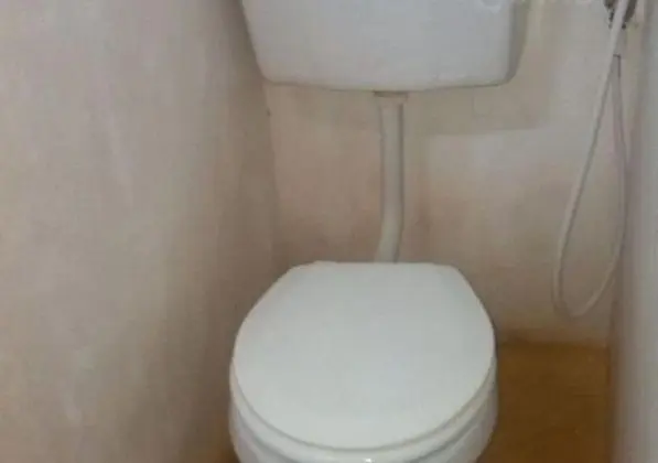 Standard Oda