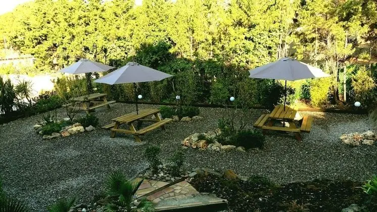 Comfort Oda, 1 En Büyük (King) Boy Yatak, Bahçe Manzaralı (Lounge)