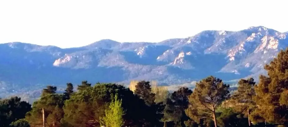 Standard Oda, 1 Büyük (Queen) Boy Yatak, Dağ Manzaralı (Blues)