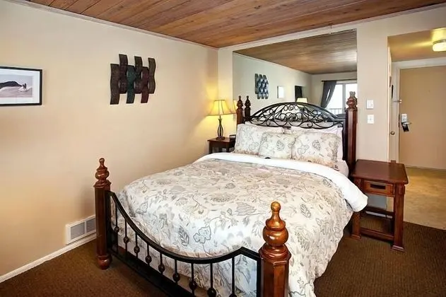 Studio,1 Queen Bed, Ocean View, Pet Friendly