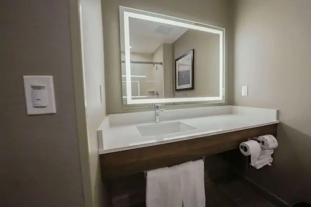 Oda, 1 En Büyük (King) Boy Yatak, Engellilere Uygun, Sigara İçilmez (Hearing, Bathtub w/ Grab Bars)