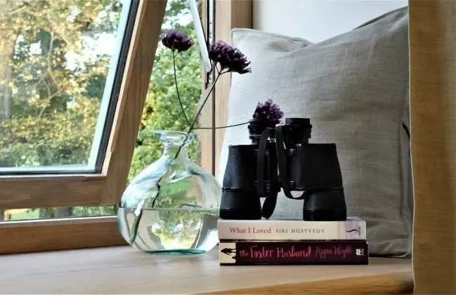 Superior Tek Büyük Yataklı Oda (Medium Barn Room)