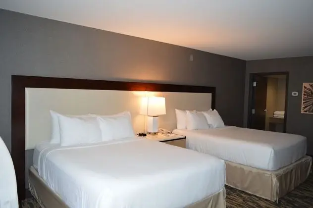 Deluxe Oda, 2 Büyük (Queen) Boy Yatak, Sigara İçilmez, Havuz Manzaralı