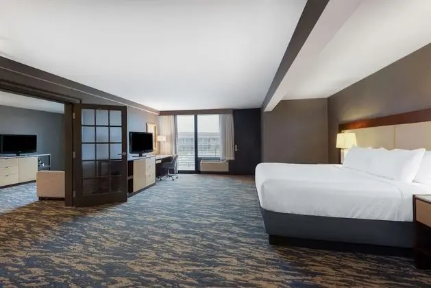 Süit, 1 En Büyük (King) Boy Yatak, Sigara İçilmez, Havuz Manzaralı
