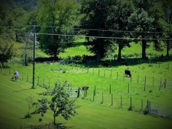 Family Oda, Birden Çok Yatak, Sigara İçilmez, Bahçe Manzaralı