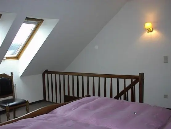 Süit