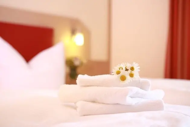 Tek Büyük Yataklı Oda (Hoher Bogen)