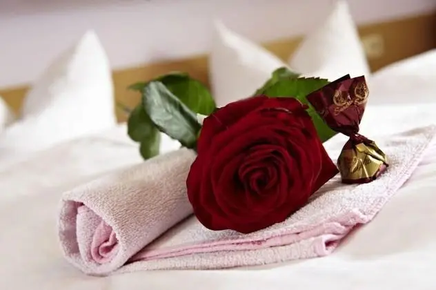 Tek Büyük Yataklı Oda (Hoher Bogen)