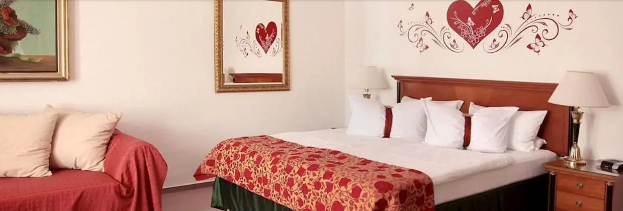 Tek Büyük Yataklı Oda (23)