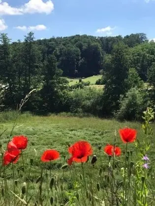 Tek Büyük Yataklı Oda (Rosenzimmer)