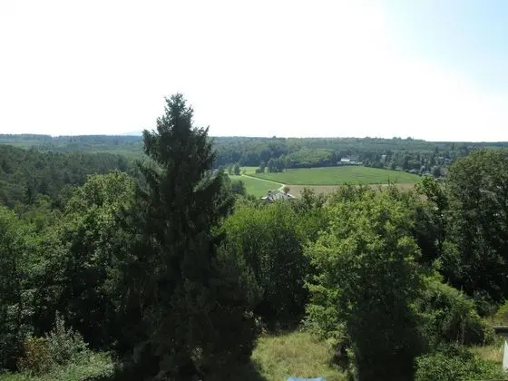 Tek Büyük Yataklı Oda, 1 Yatak Odası, Bahçe Manzaralı