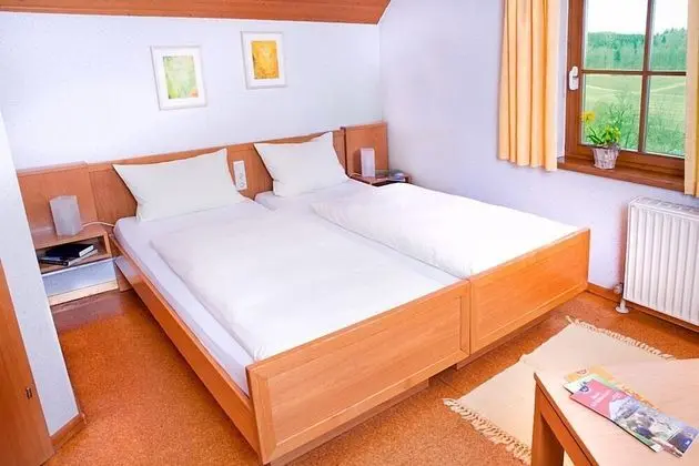 Standard Büyük Yataklı Tek Kişilik Oda