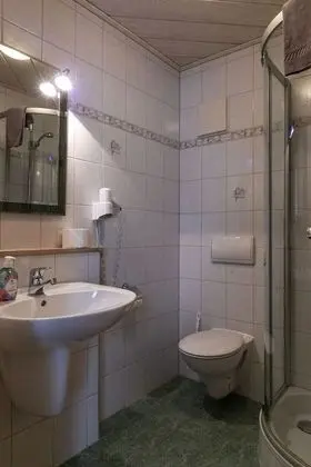 Standard Büyük Yataklı Tek Kişilik Oda (Landhotel)