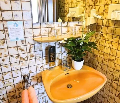 Comfort Tek Büyük Yataklı Oda, Sigara İçilmez