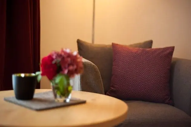 Comfort Tek Büyük Yataklı Oda, Teras