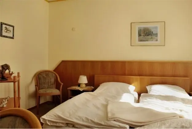 Tek Büyük Yataklı Oda, 1 Çift Kişilik Yatak, Sigara İçilmez