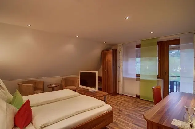 Superior Tek Büyük Yataklı Oda, 1 En Büyük (King) Boy Yatak