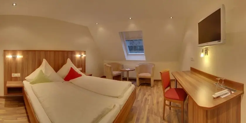 Superior Tek Büyük Yataklı Oda, 1 En Büyük (King) Boy Yatak