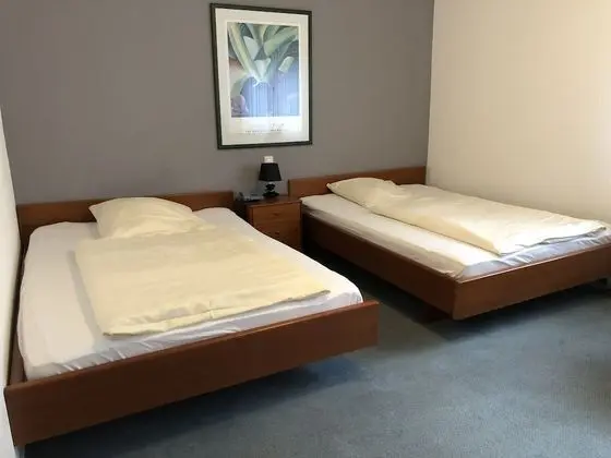 Superior Tek Büyük veya İki Ayrı Yataklı Oda, Özel Banyo