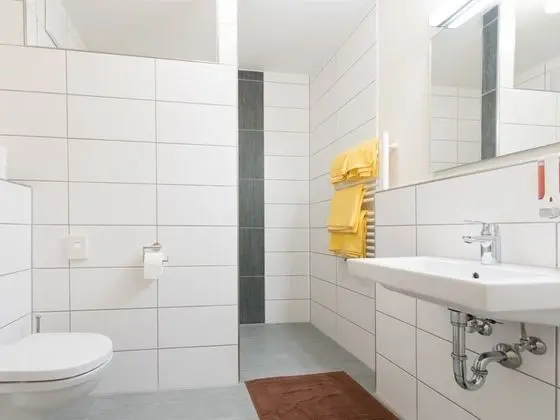Deluxe Tek Büyük veya İki Ayrı Yataklı Oda, Banyolu/Duşlu