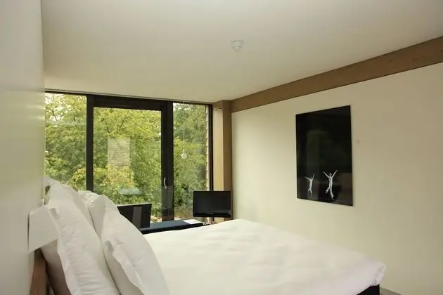 Design Tek Büyük veya İki Ayrı Yataklı Oda, 1 En Büyük (King) Boy Yatak, Park Manzaralı, Bahçeli